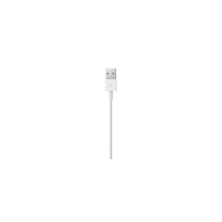 LIGHTNING TO USB CABLE (0.5 M)