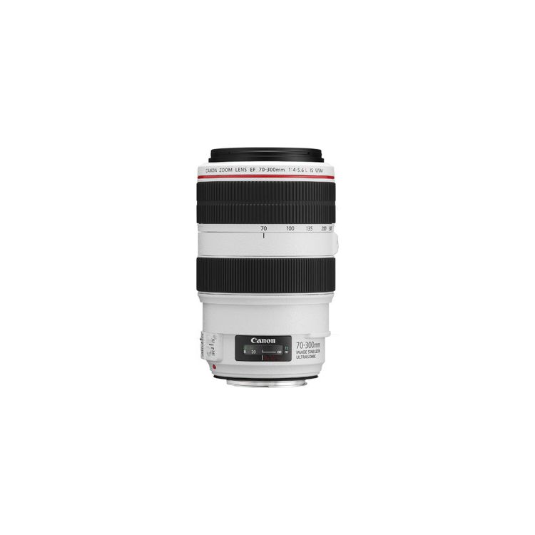 Canon EF 70-300mm f/4-5.6L IS USM SLR Telephoto lens Black,White